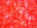 rosse_bocche