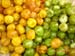 albicocche_ fichi_can#D0B83